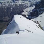 Image description